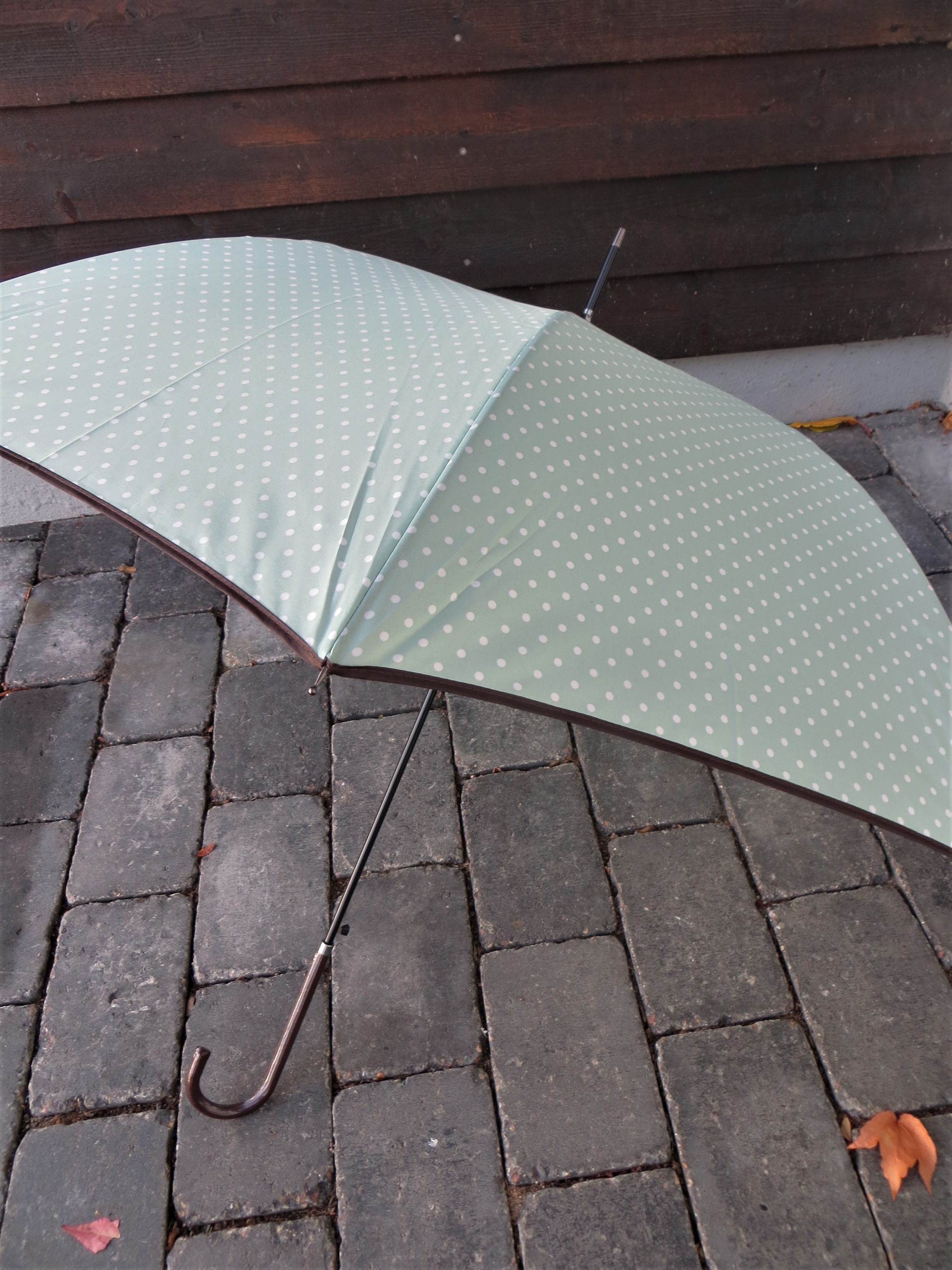 Regenschirm mint mit kleinen weißen Punkten  - Onlineshop Tante Emmer