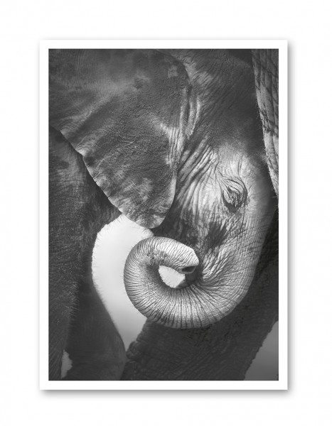 Leinwand "Elefant", A5, More than Canvas